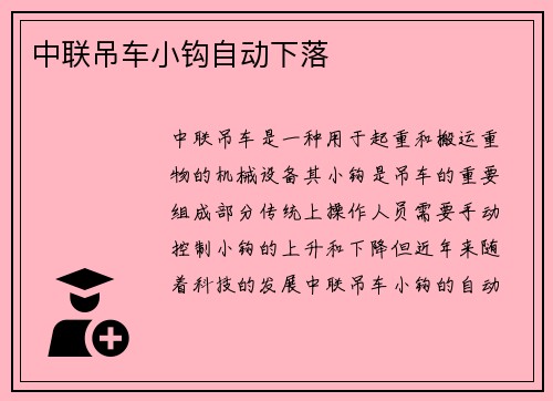 中联吊车小钩自动下落