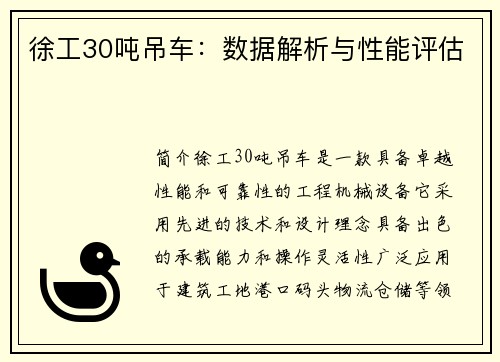 徐工30吨吊车：数据解析与性能评估